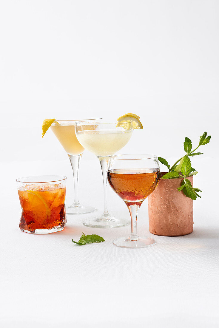 Verschiedene Cocktails: Negroni, Sidecar, Daiquiri, Manhattan, Moscow mule