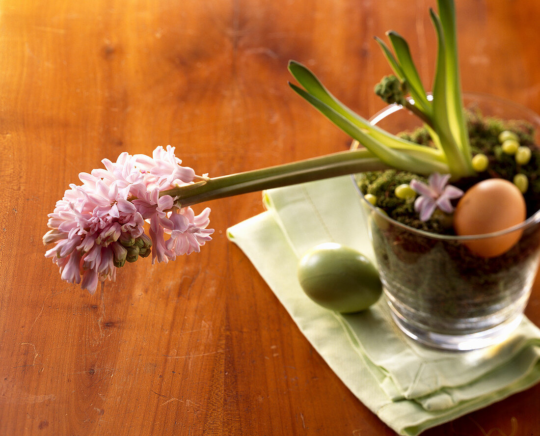 Flowering hyacinth and Easter eggs