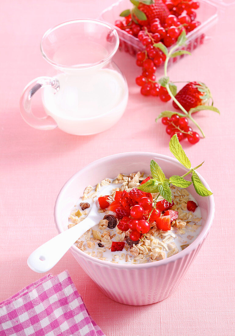 Bircher muesli with oats, red berries and milk