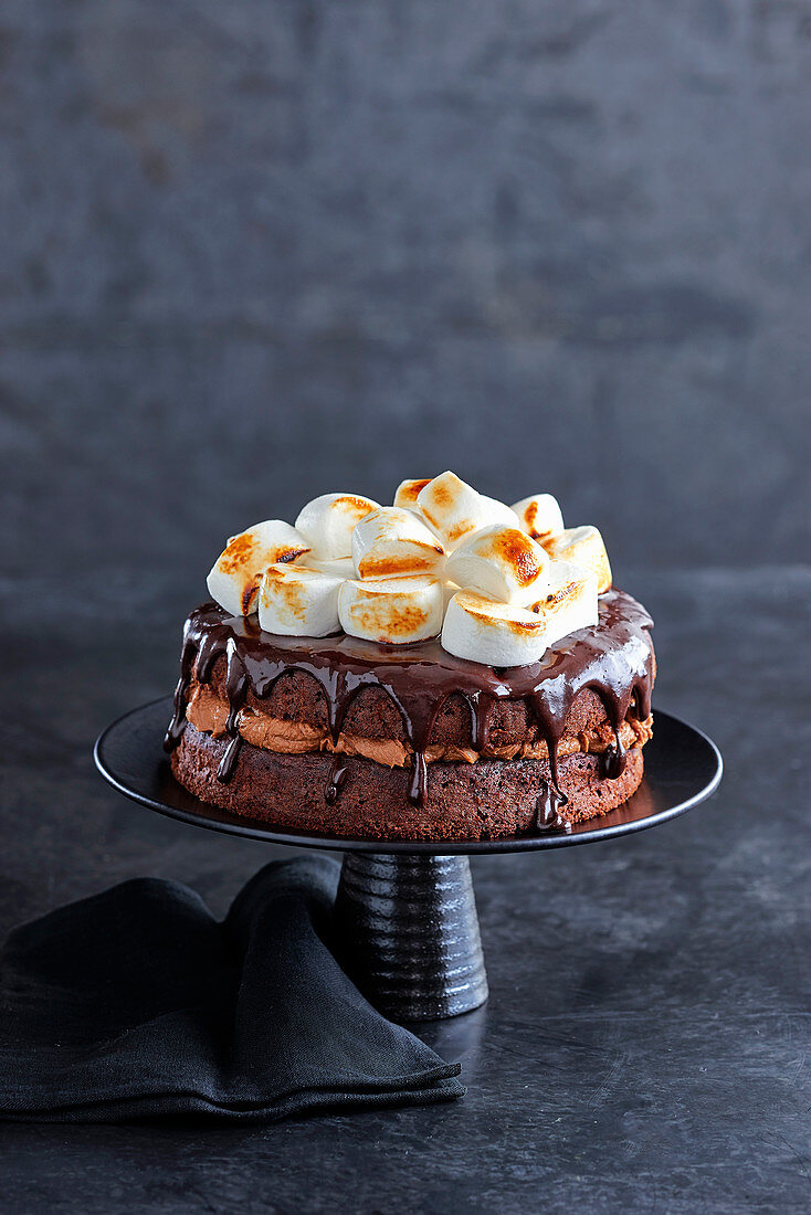 S'mores Cake (Schokoladentorte mit Marshmallows, England)