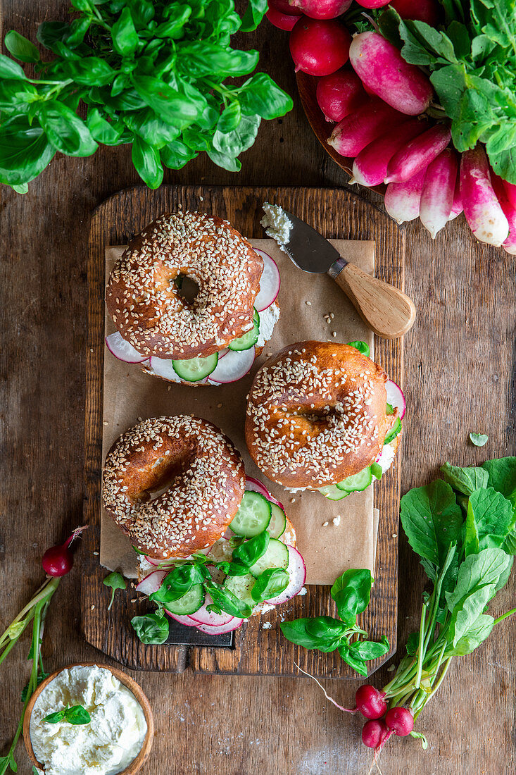 Bagel mit Frischkäse, Radieschen und Gurken