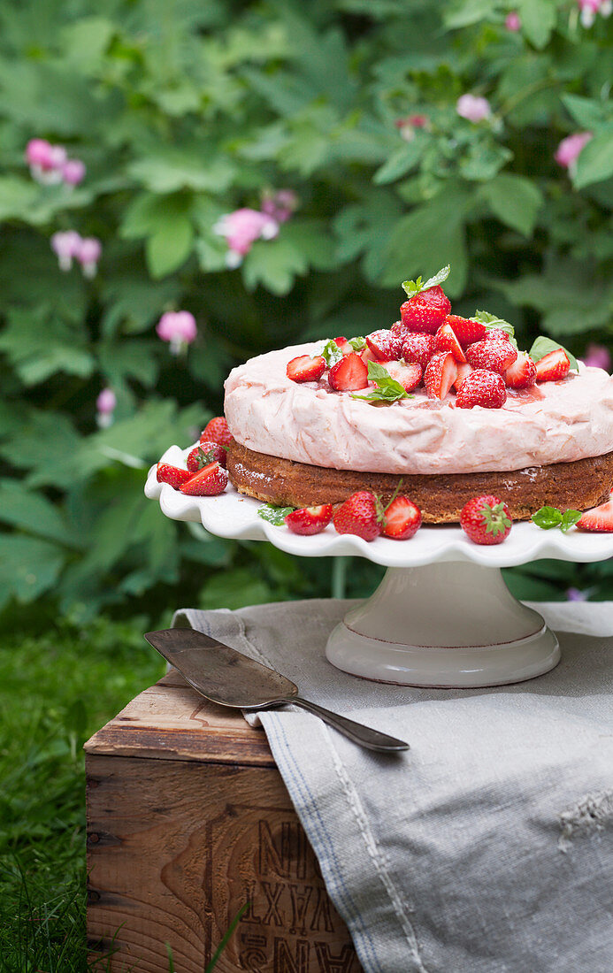 Strawberry cake