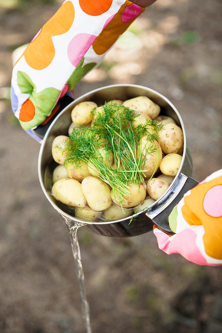 Wasser abgießen aus Topf mit gekochten Kartoffeln