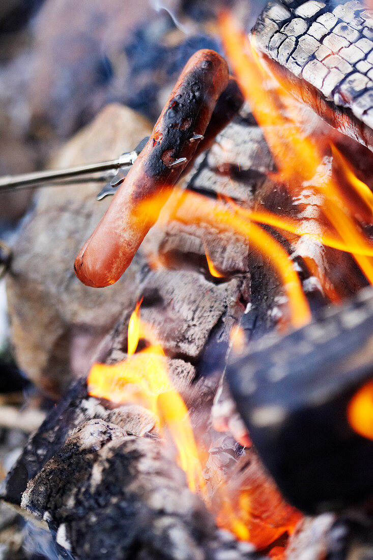 Grilling sausages on a campfire (close-up)