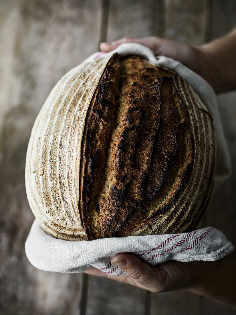 Hände halten frisches Brot