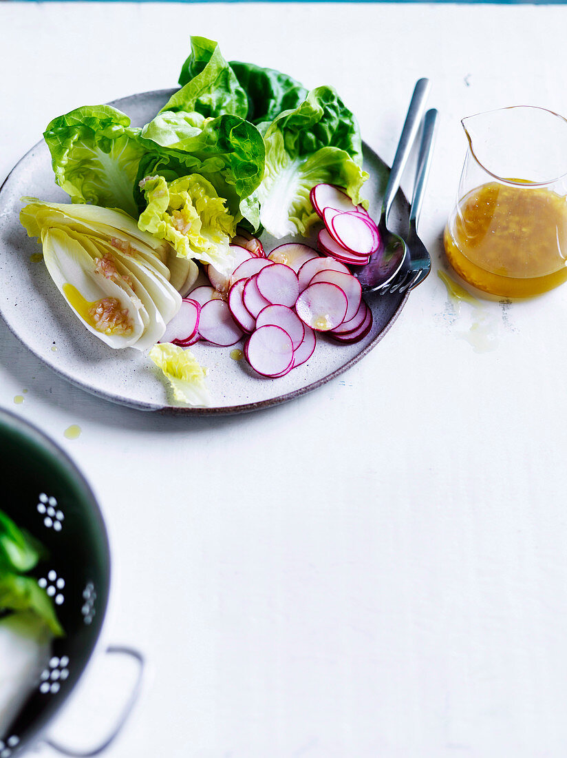 Kopfsalat mit Radieschen, Chicorée und Vinaigrette