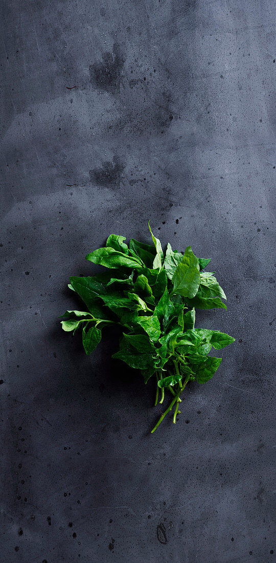 New Zealand spinach