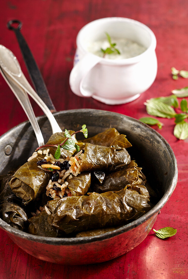 Dolmades with rice filling and yoghurt sauce (Turkey)