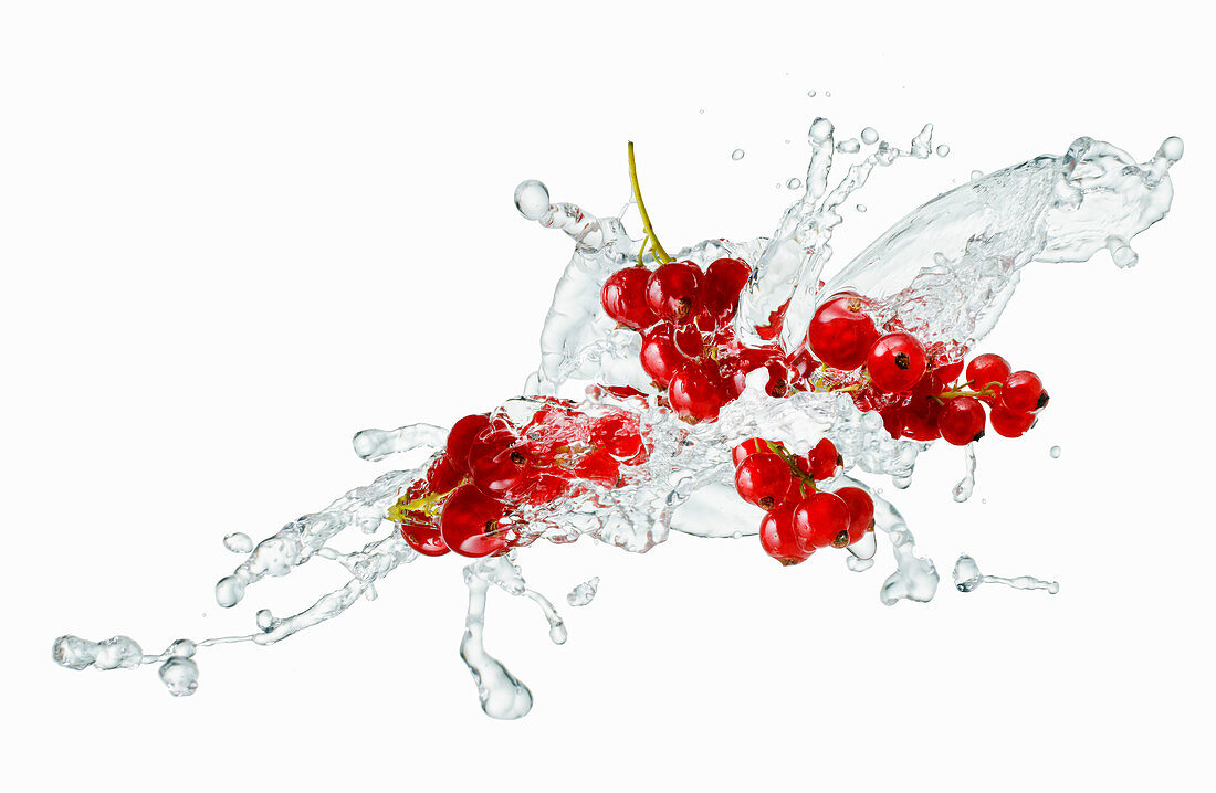 Redcurrents with a splash
