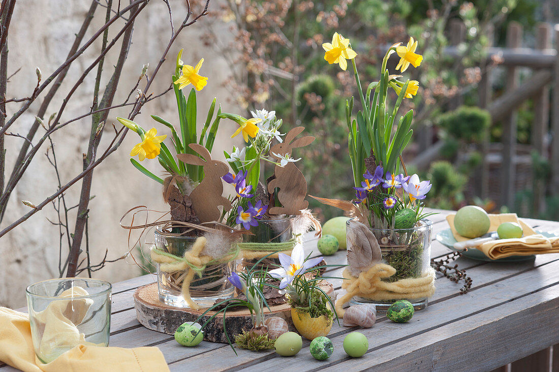 Easter decoration with daffodils, milk star and crocus on a birch wood disc