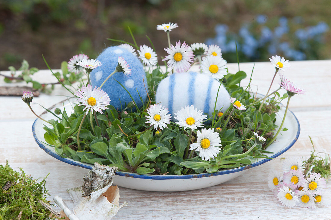 Daisies in shallow bowl with Easter eggs