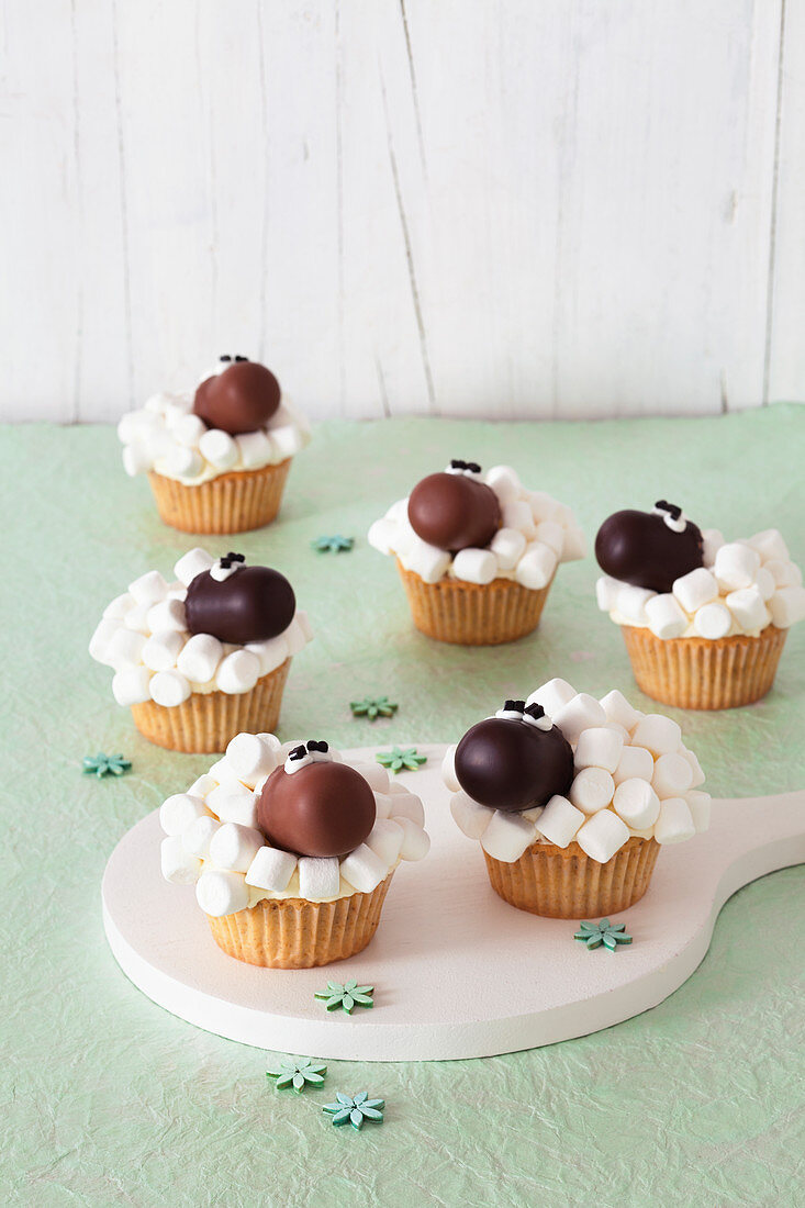 Sheep cupcakes decorated with mini marshmallows