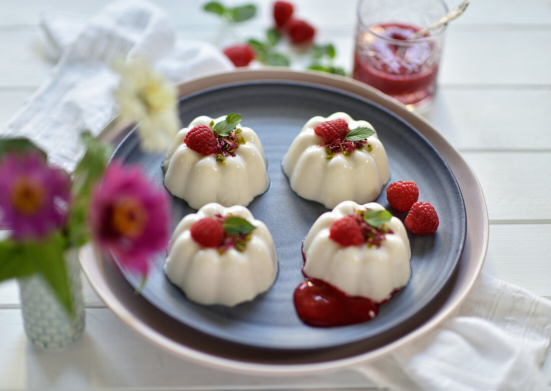 Vegan coconut and yoghurt panna cotta in tartlet shapes with raspberry sauce