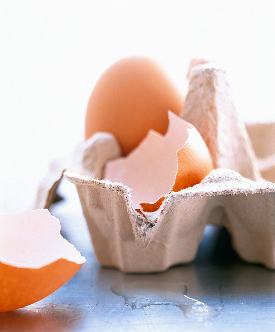 Half an eggshell and a whole egg in an egg carton