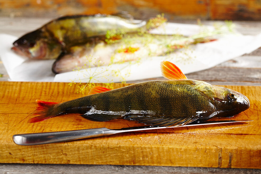 Perch on a wooden board with dill and a knife