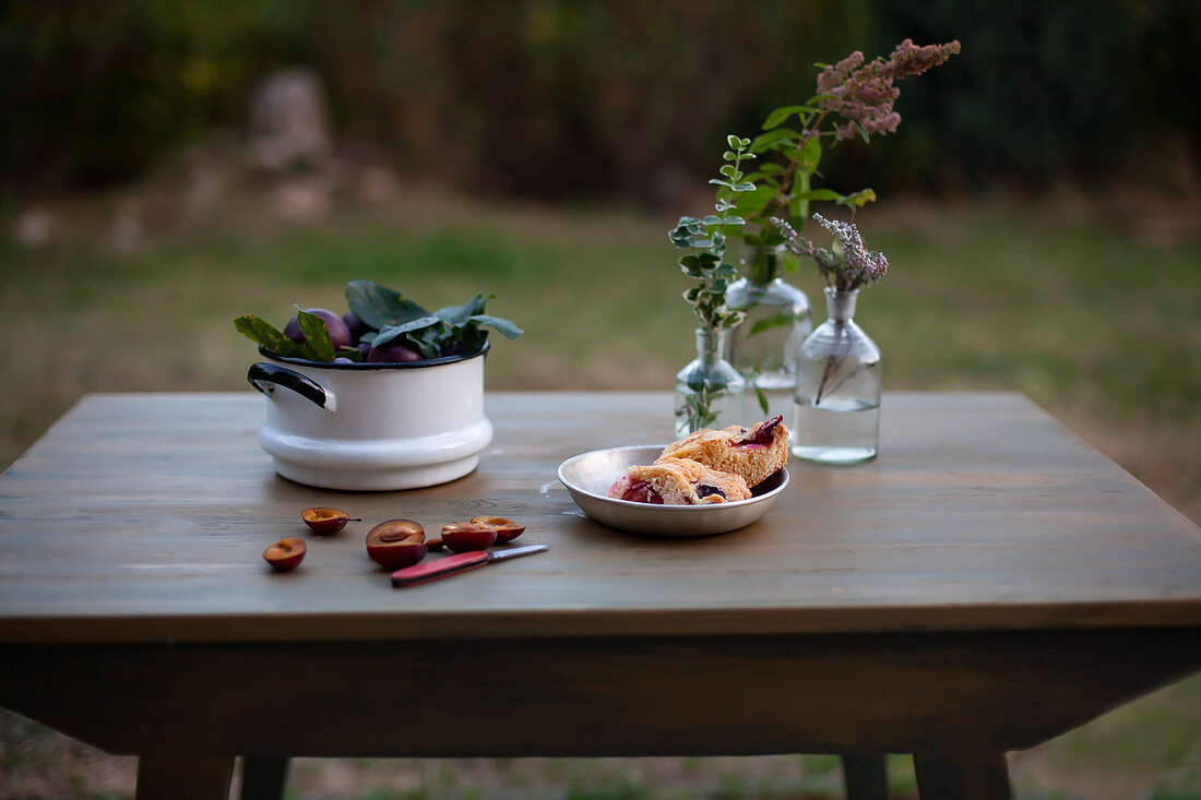 Fresh plums in a pot and plum cake in a metal bowl on a garden table