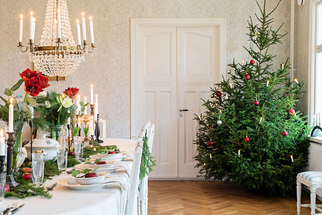 Gedeckter Festtagstisch und Tannenbaum in Esszimmer eines Herrenhauses