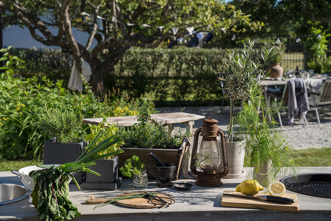 Herbs and vegetables on worksurface of outdoor kitchen