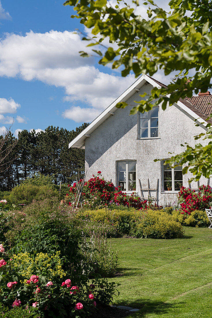 Lawns and blooming summer garden of white country house