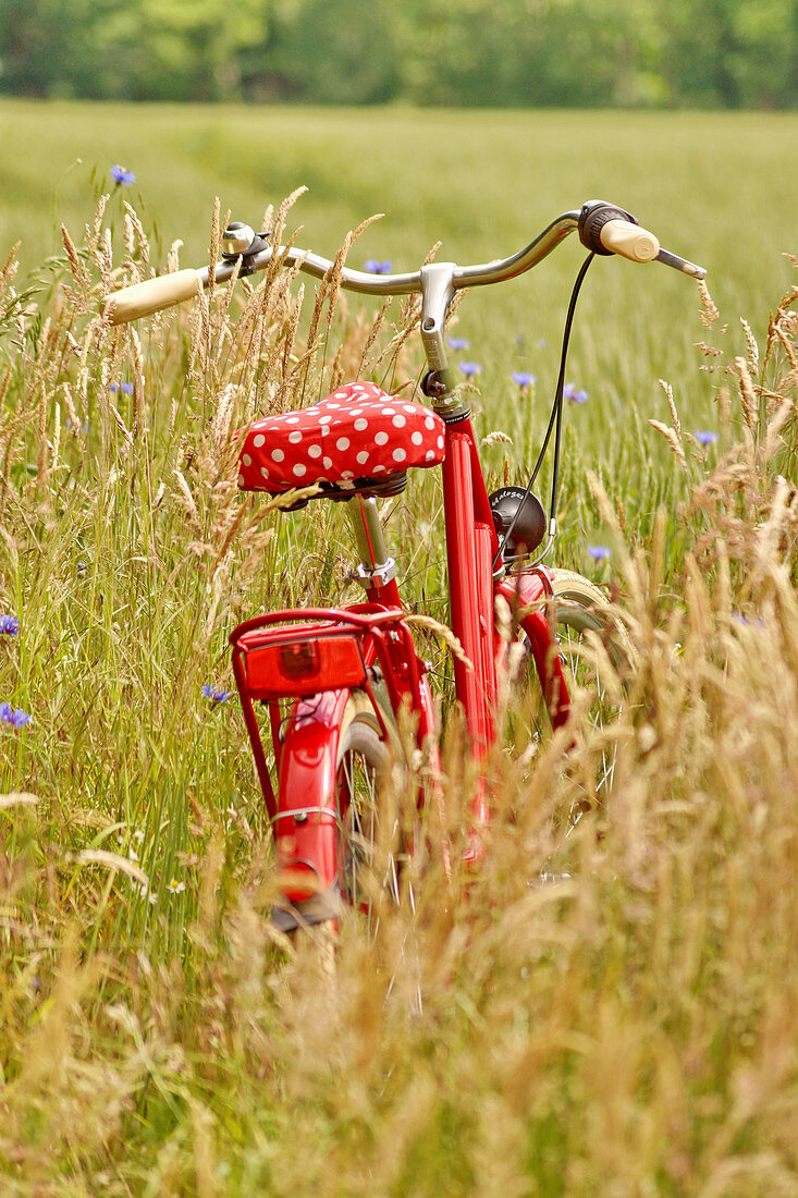 Red bike in the field