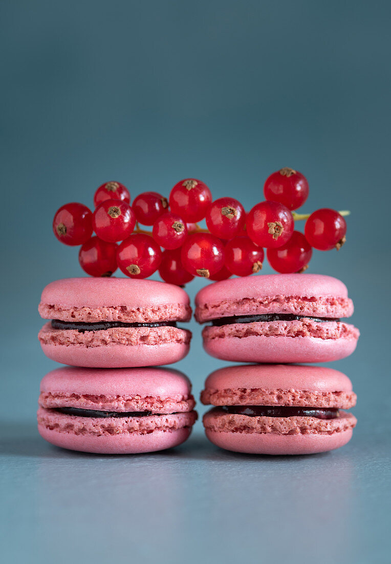 Currant macarons