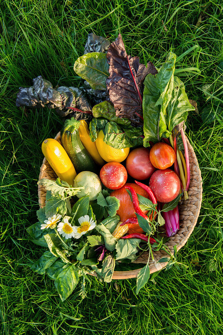 A vegetable basket in the grass