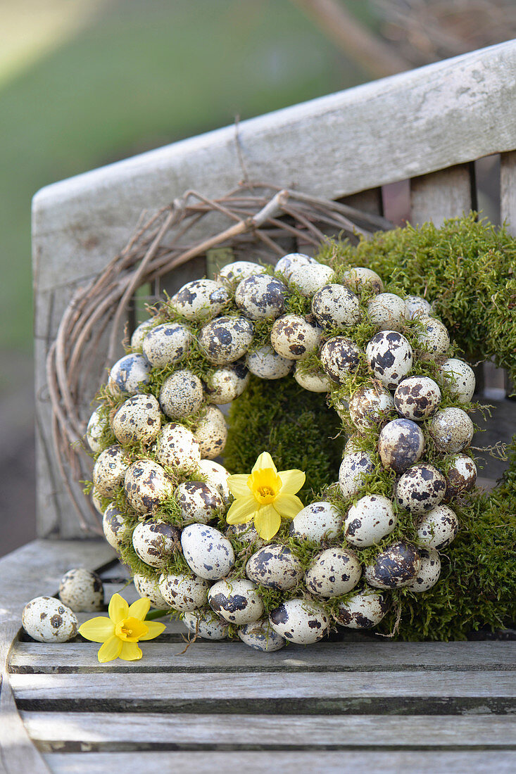 Wreaths of quail eggs and moss with daffodil flowers on garden bench