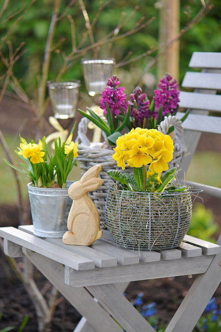 Easter decoration with daffodils, hyacinths, primroses on a garden chair, wooden Easter bunny
