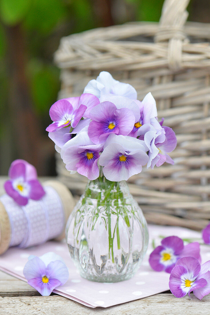 Horned violets in a glass vase