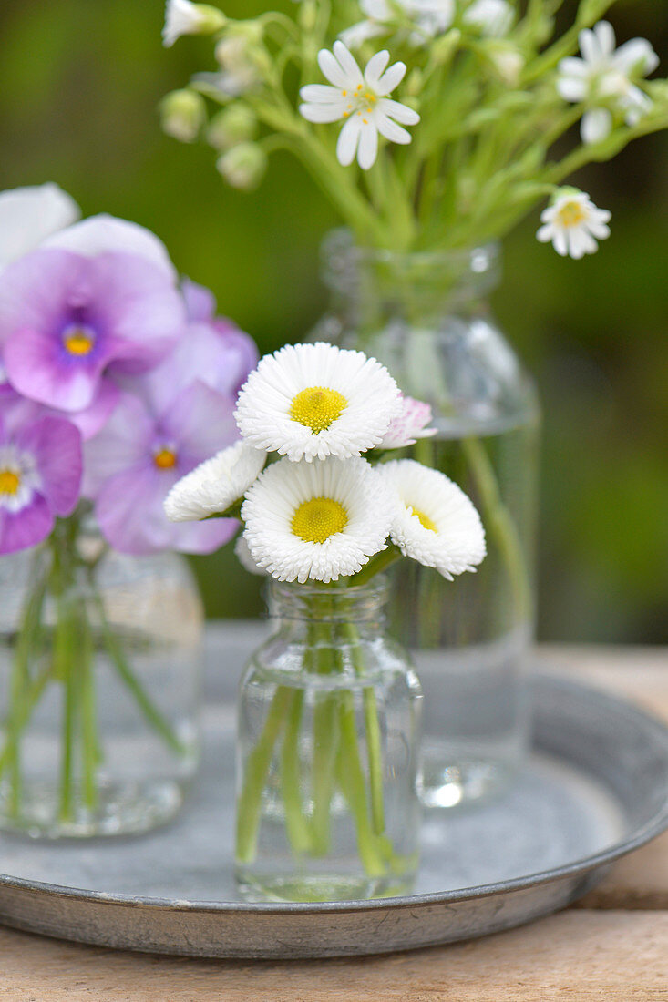 Bellis und Hornveilchen in kleinen Flaschen