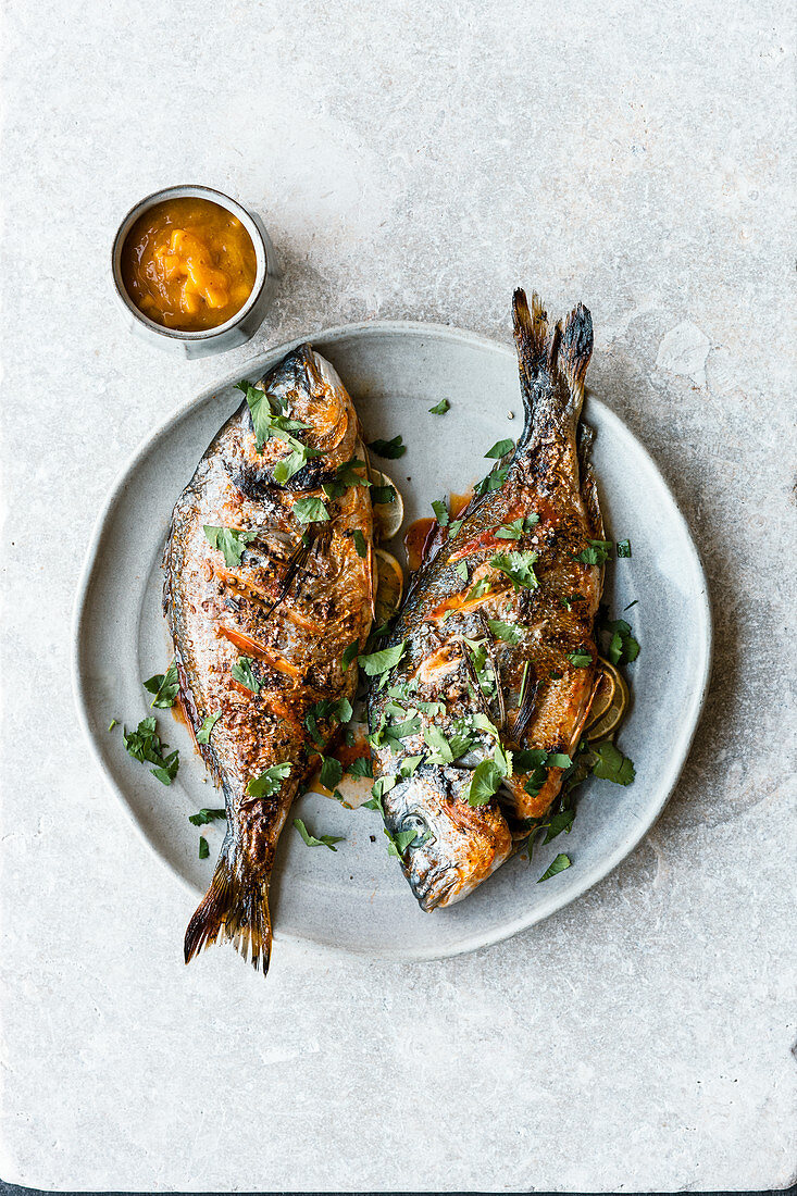 Grilled gilt-head bream with mango sauce