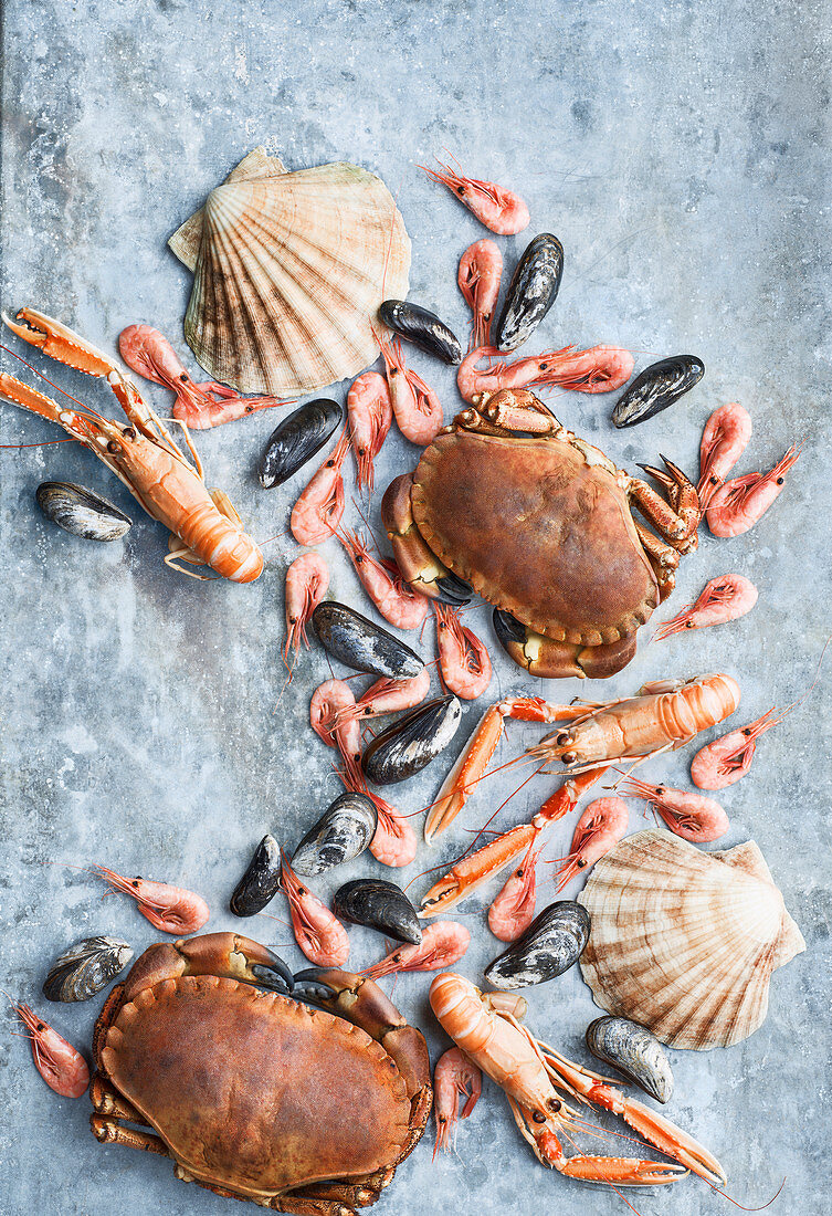 Seafood against grey background