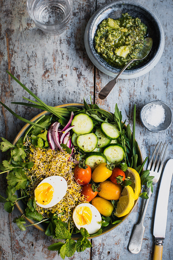 Salad Bowl mit Brokkolisprossen, Gurke, Ei, Gartenkräutern und Pesto-Dressing