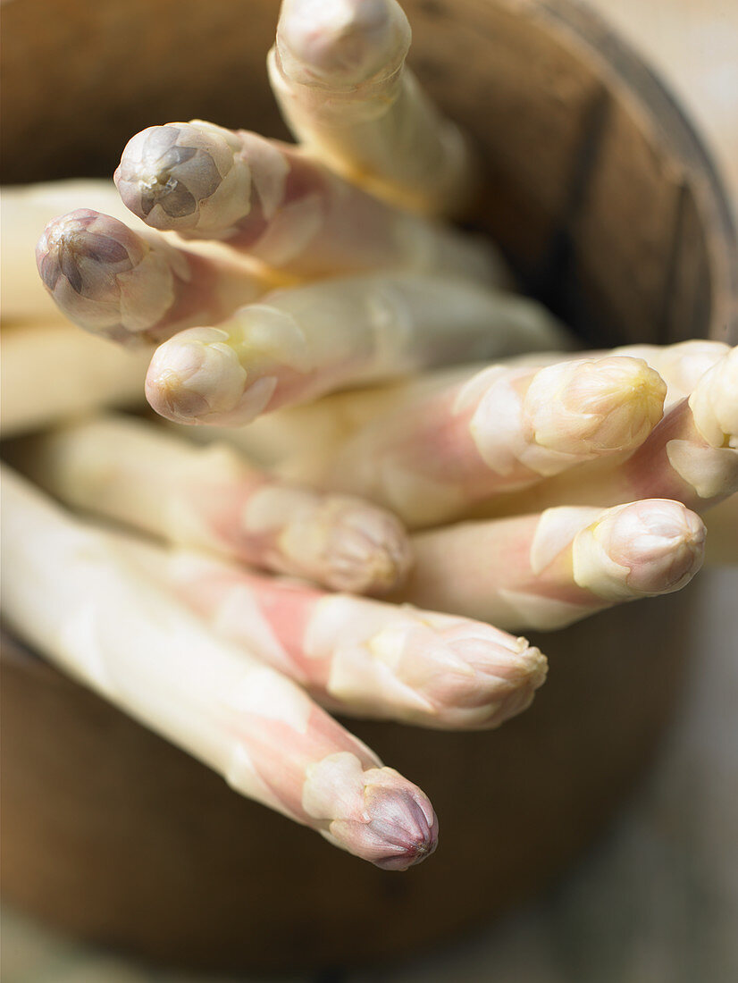 Fresh white asparagus spears