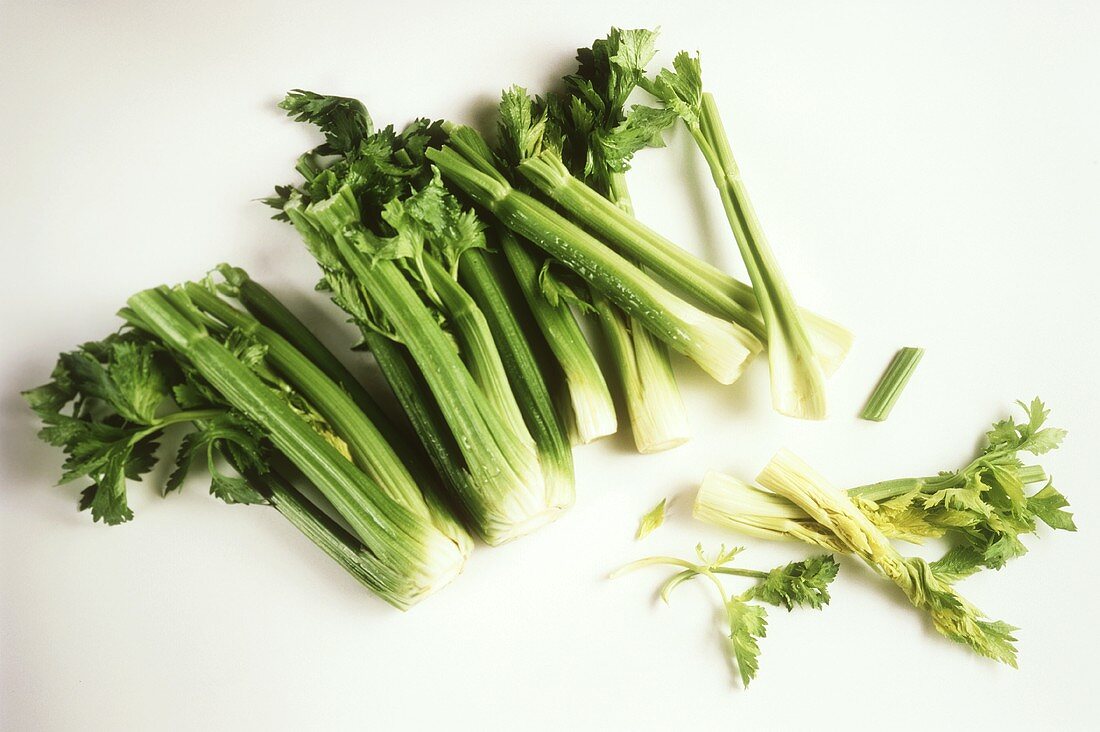 Several Bunches of Celery