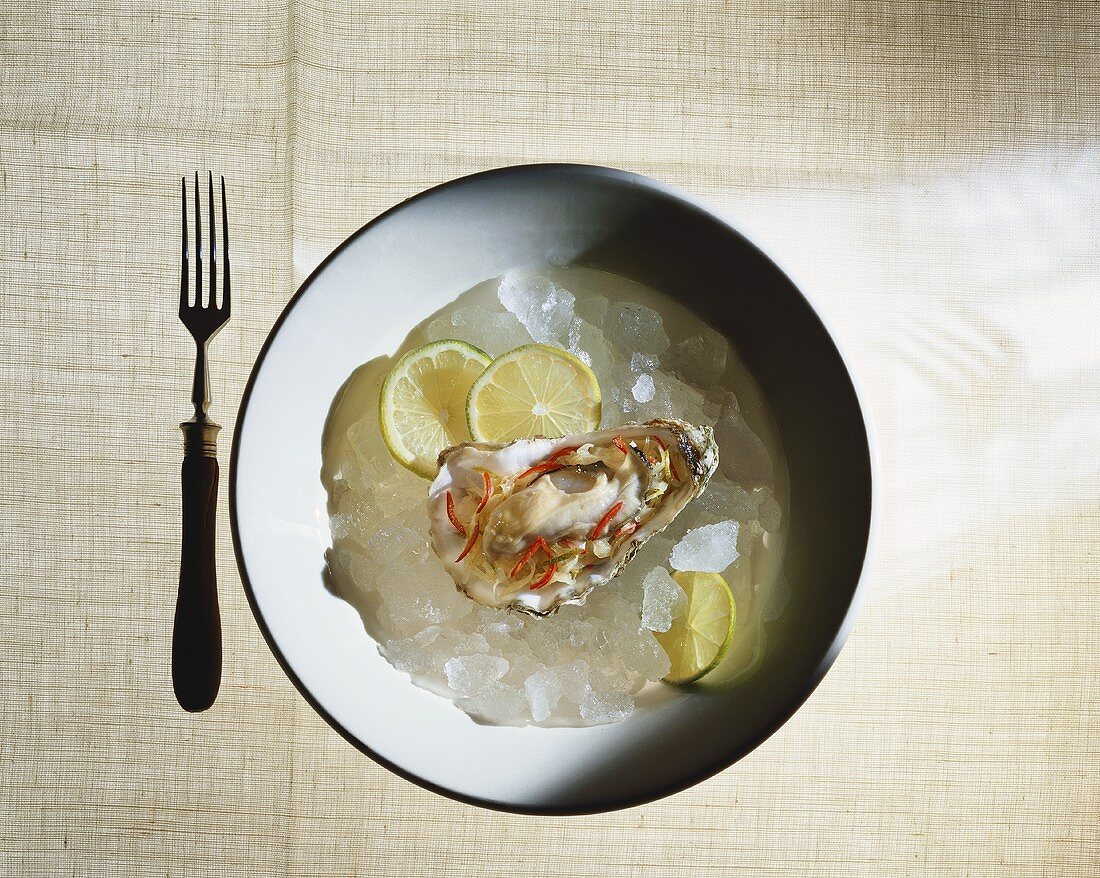 Oyster with sauerkraut on ice
