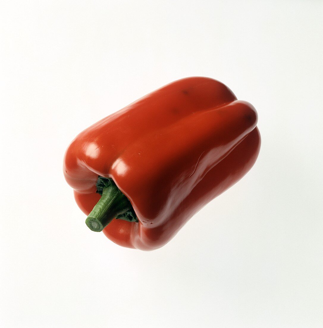 A Single Red Bell Pepper