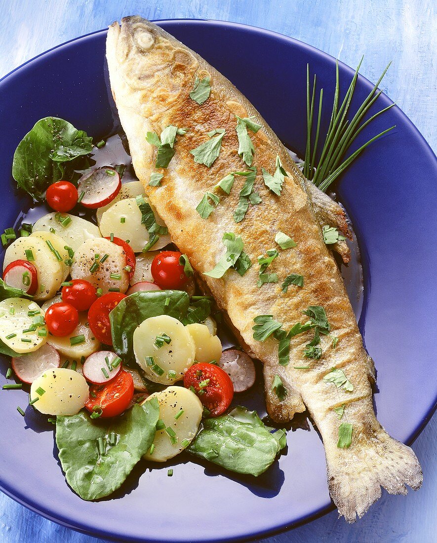 Trout, Miller's wife style with potato & radish salad