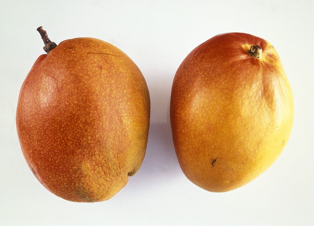 Two mangoes