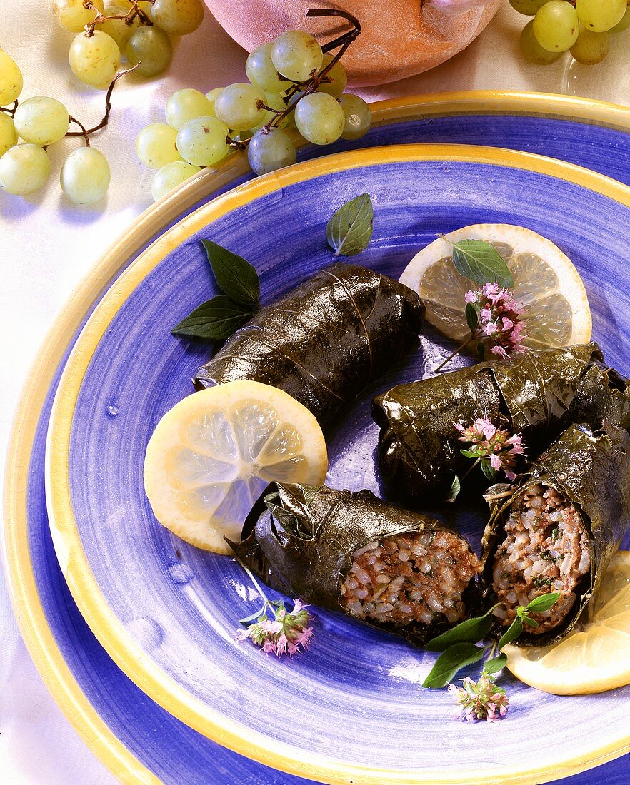 Vine leaves with savoury rice stuffing on blue plate