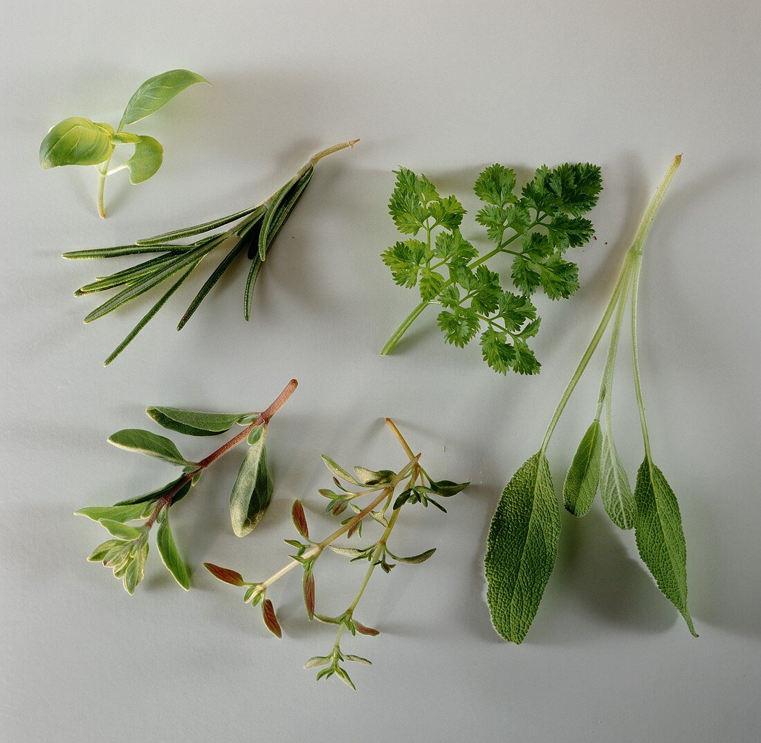 Sage, parsley, thyme, marjoram, rosemary, basil