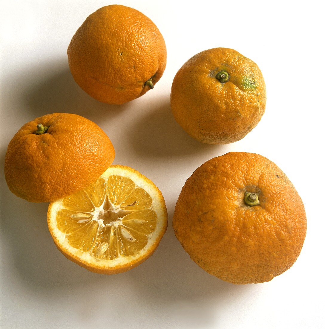 Three whole and one halved bitter orange