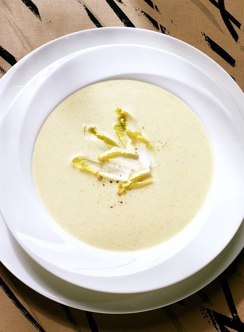 Chicoreesuppe