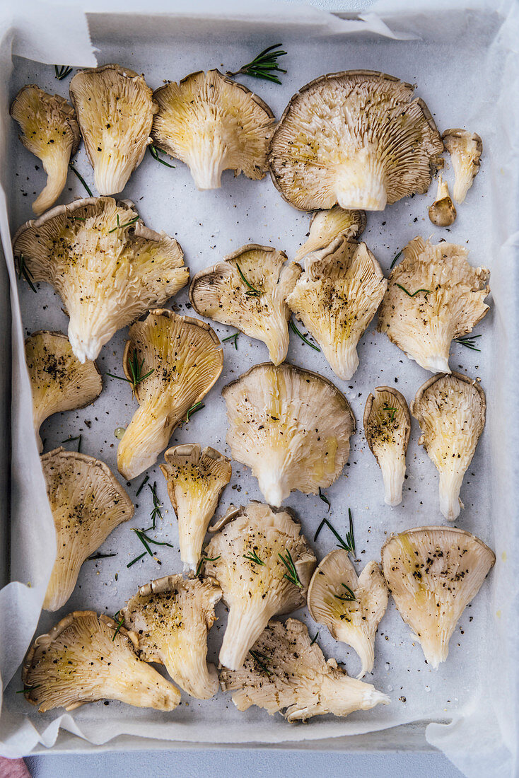 Oyster mushrooms with salt, pepper, rosemary and olive oil in a baking sheet
