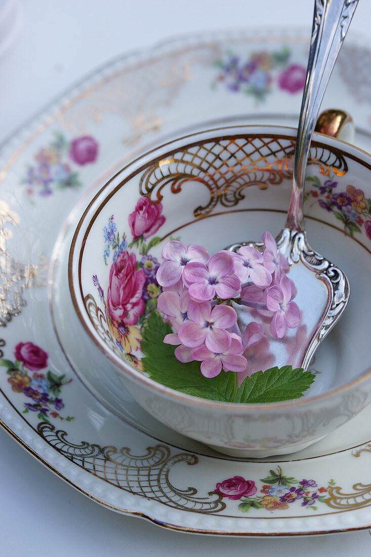Lilac blossom in an antique collector's cup
