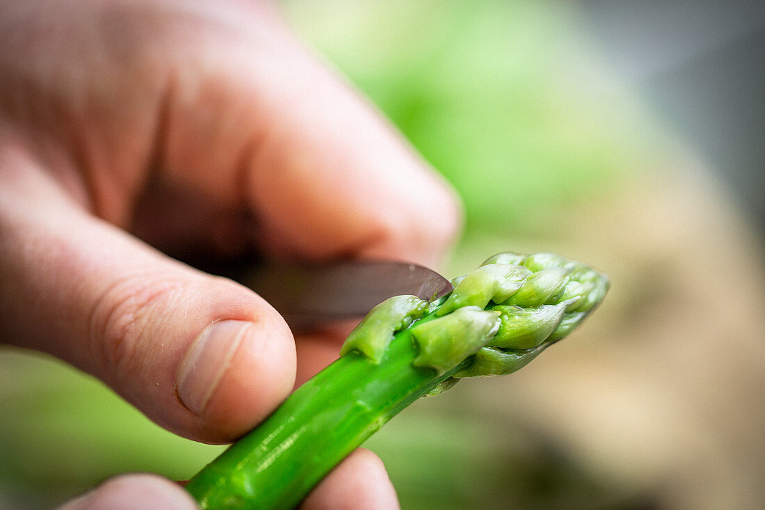 Peeling green asparagus