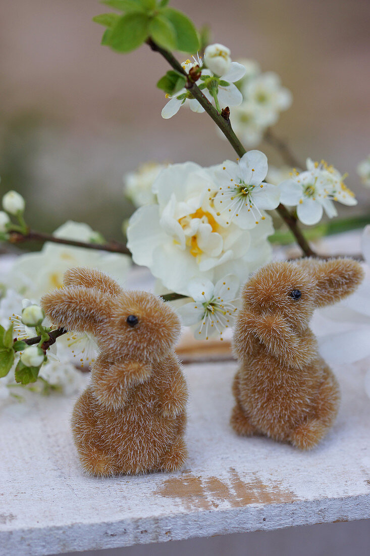 Little Easter bunnies in front of narcissus and cherry blossom