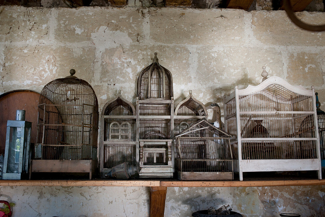 Antique birdcages on shelf