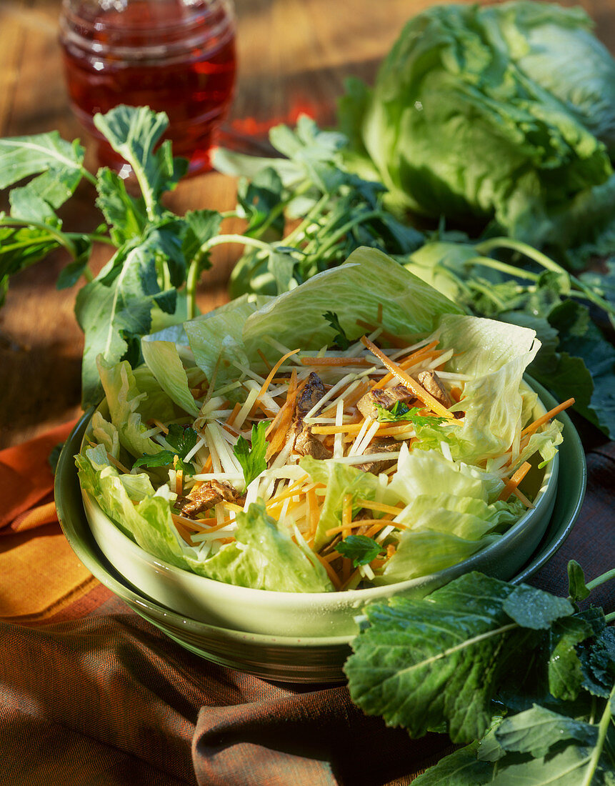 Kohlrabi-Möhren-Salat mit Fleisch