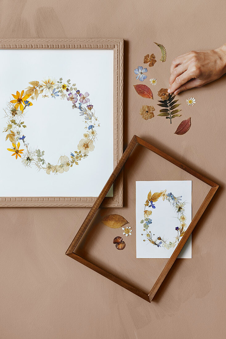Hand positioning pressed flowers in circle in picture frame